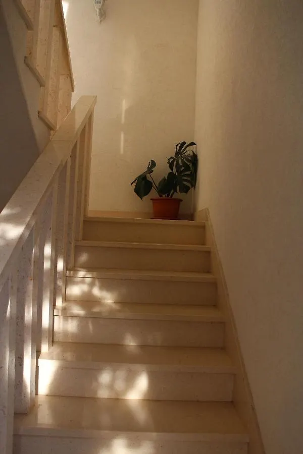 Apartments Tily Traù